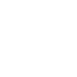 Scroll to Explore